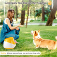 Charger l'image dans la visionneuse de la galerie, Lanceur automatique de balles pour animaux de compagnie, jouet d'extérieur, lanceur de tennis pour chiens, outil de promenade pour chiens
