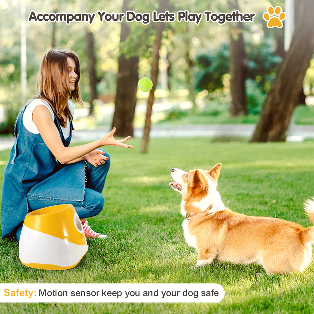 Lanceur automatique de balles pour animaux de compagnie, jouet d'extérieur, lanceur de tennis pour chiens, outil de promenade pour chiens