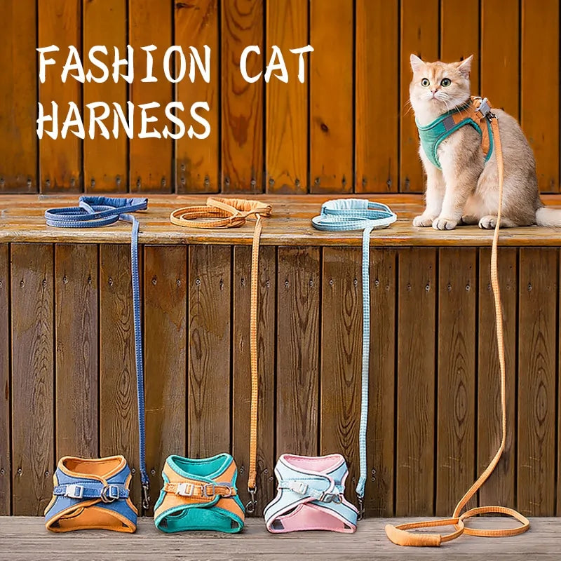 Ensemble harnais et laisse pour chat