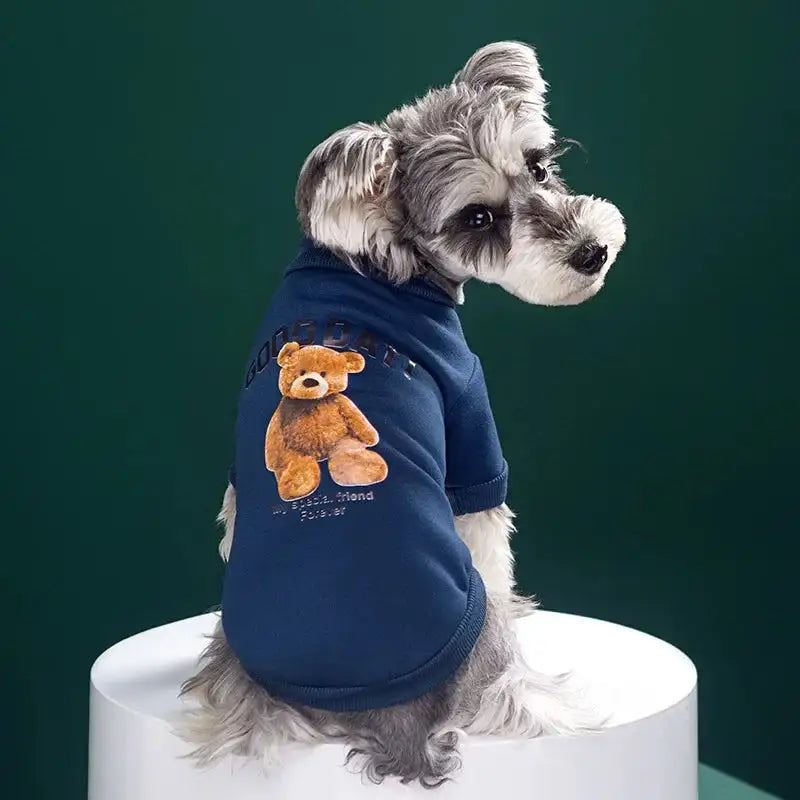 Pull Bear Embrace