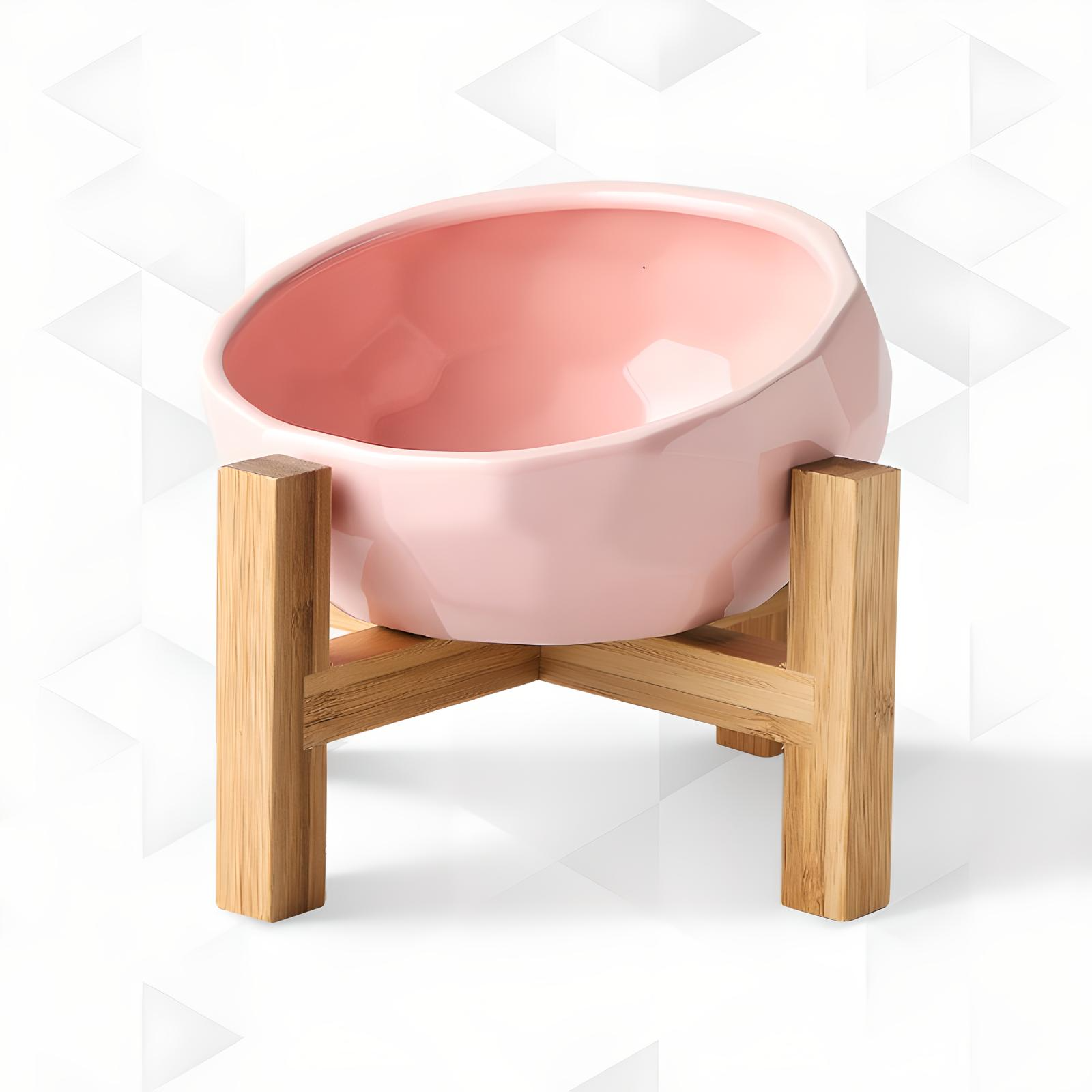 Ceramic Cat Bowl for Cats and Dogs