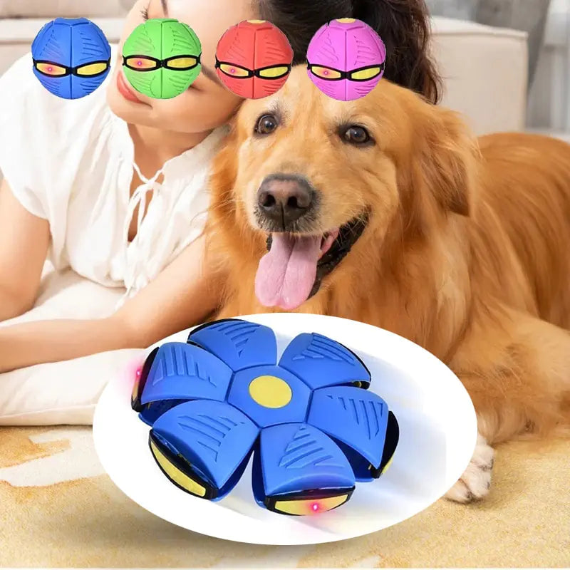 Boule magique OVNI pour animaux de compagnie