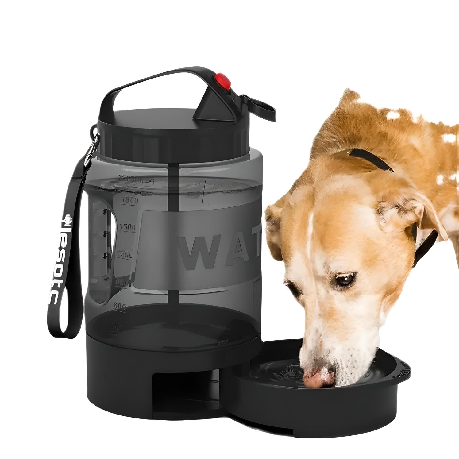 2.2L Outdoor Dog Kettle