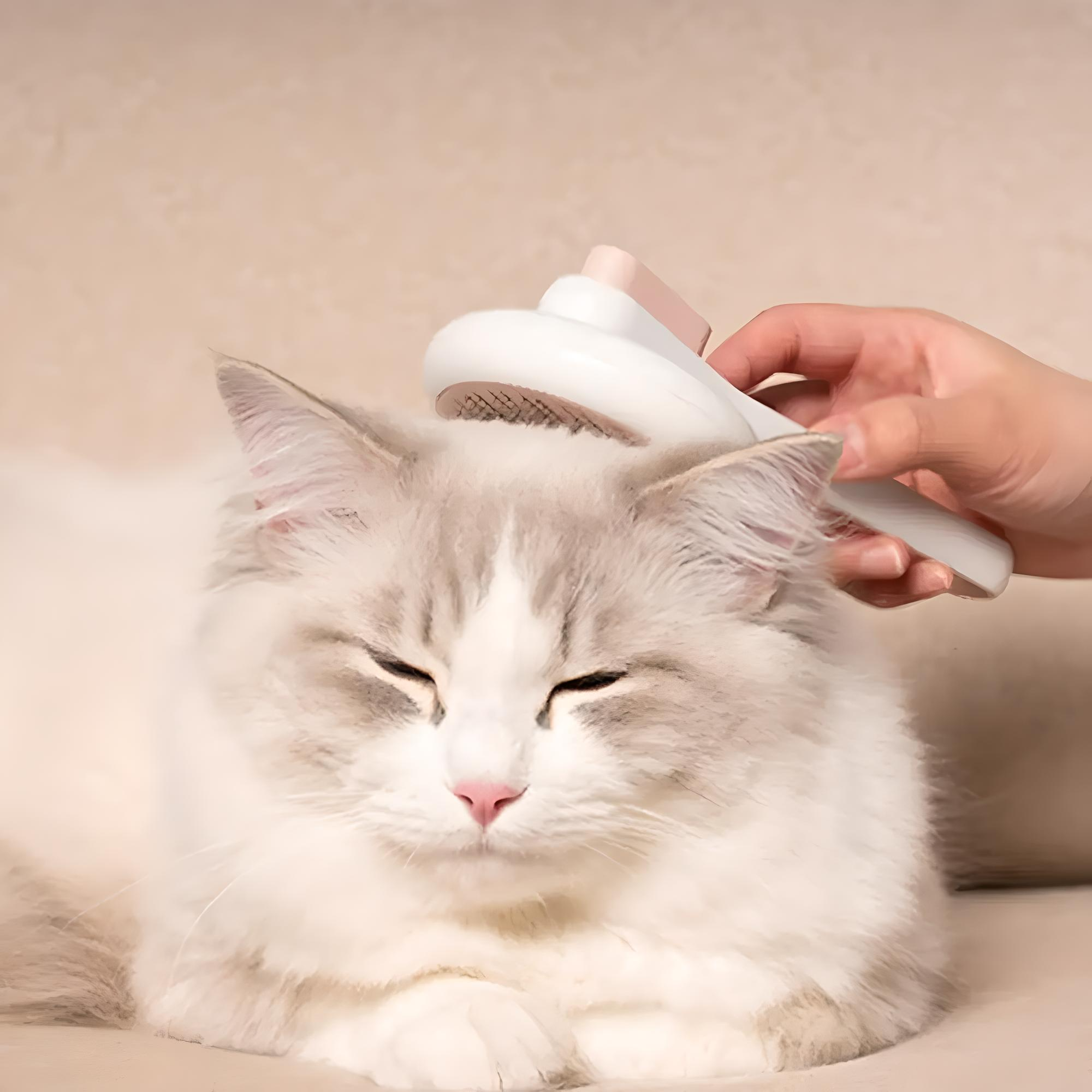 Peigne épilateur et massant automatique pour chats et chiens