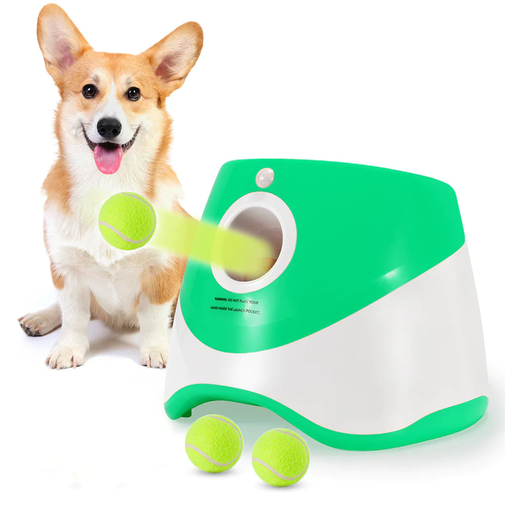 Lanceur automatique de balles pour animaux de compagnie, jouet d'extérieur, lanceur de tennis pour chiens, outil de promenade pour chiens