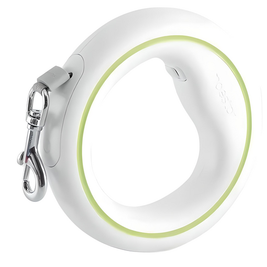 Urban Leash – Modern Design for Stylish Dogs