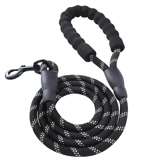 Reflective Dog Leash with Padded Handle