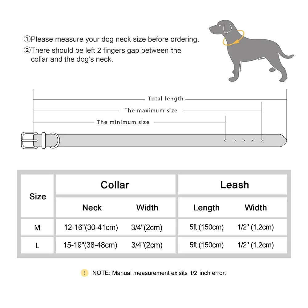 Ensemble collier et laisse pour chien