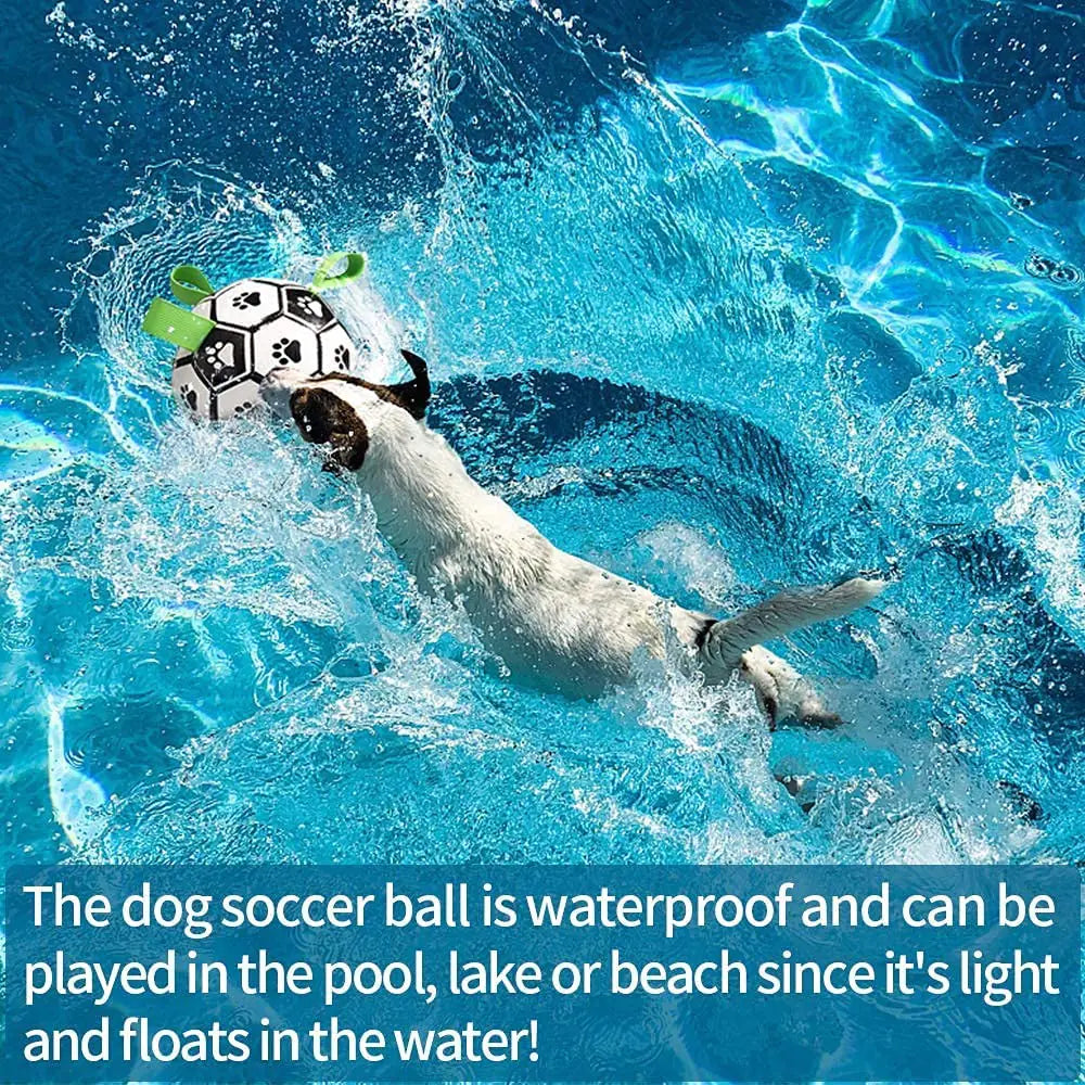 Football interactif pour chiens