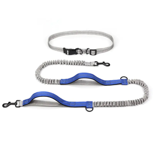 Outdoor Running Dog Leash