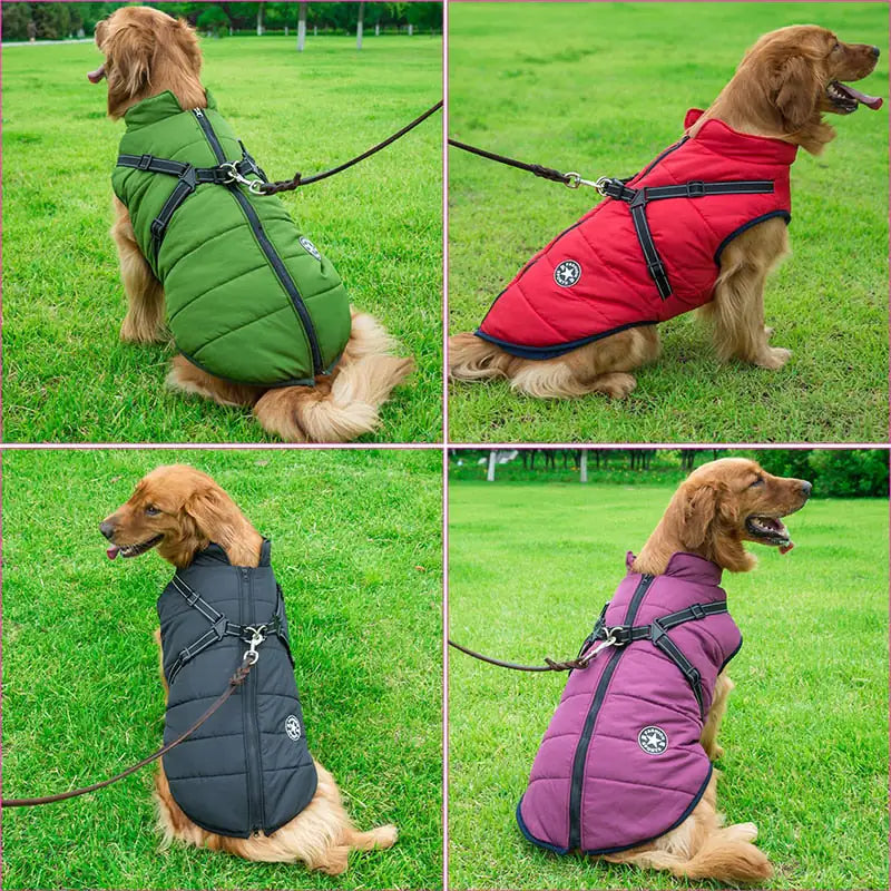 Veste d'hiver imperméable pour chien