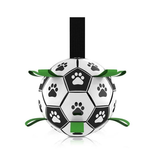 Football interactif pour chiens