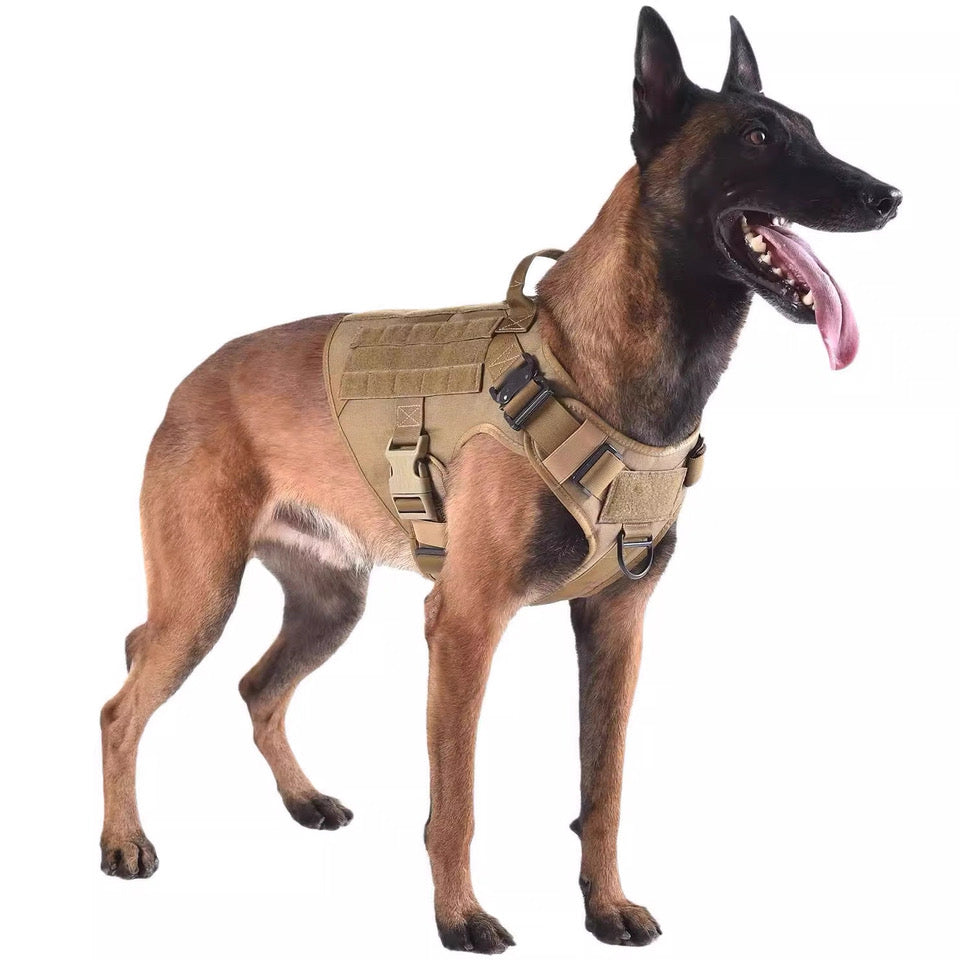 Gilet tactique d'extérieur pour grands chiens