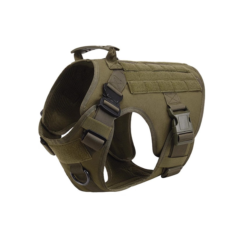 Gilet tactique d'extérieur pour grands chiens