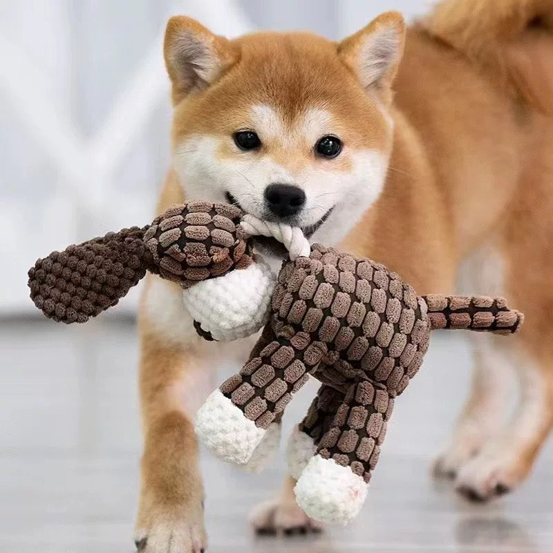 Jouet à mâcher en peluche en forme d'âne – grinçant et texturé maïs pour animaux de compagnie