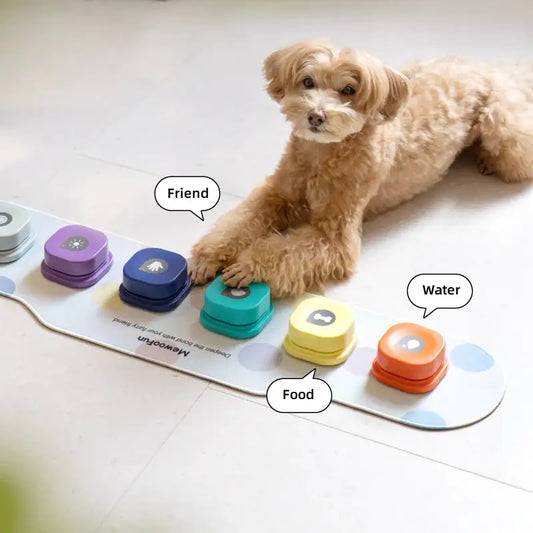 Bouton de conversation enregistrable pour buzzer d'entraînement
