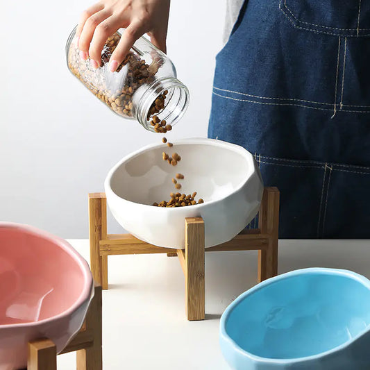 Ceramic Cat Bowl for Cats and Dogs
