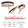 Charger l'image dans la visionneuse de la galerie, Ensemble collier et laisse en cuir pour animaux de compagnie
