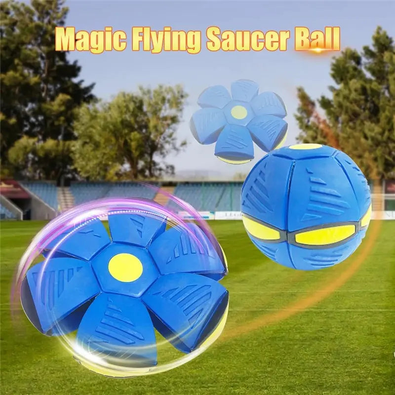 Boule magique OVNI pour animaux de compagnie