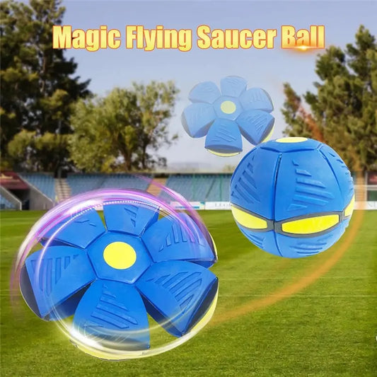 Boule magique OVNI pour animaux de compagnie