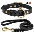 Charger l'image dans la visionneuse de la galerie, Ensemble collier et laisse pour chien
