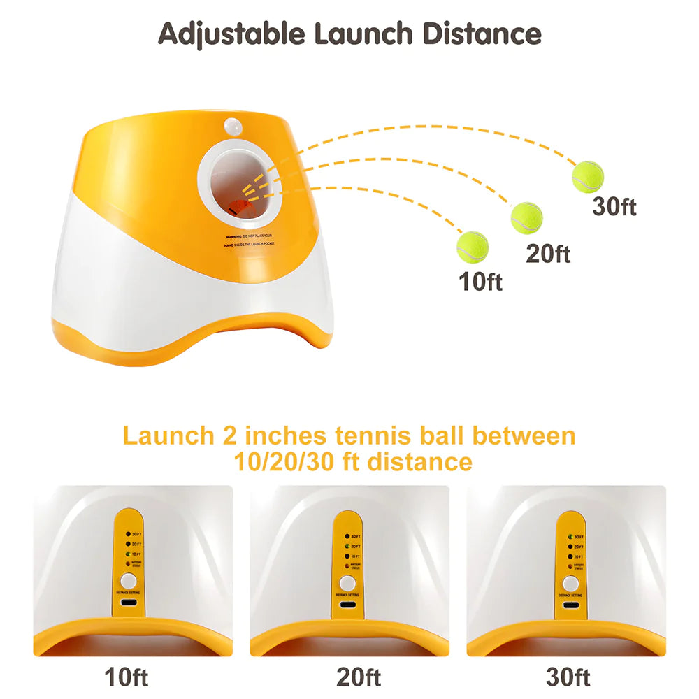 Lanceur automatique de balles pour animaux de compagnie, jouet d'extérieur, lanceur de tennis pour chiens, outil de promenade pour chiens