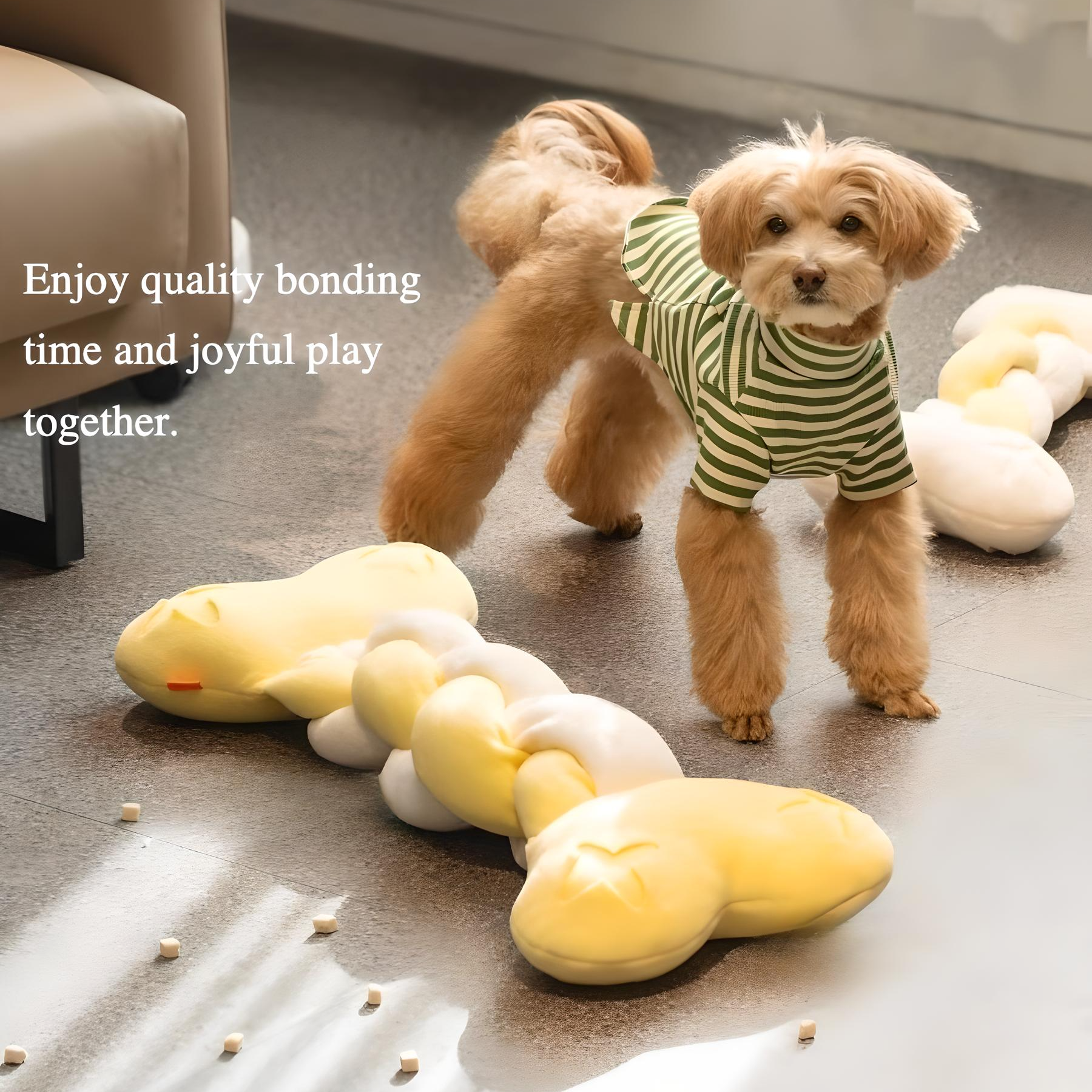 Jouet interactif pour le nez Big Bone pour chiens