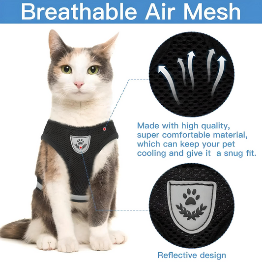 Harnais et laisse pour animaux de compagnie CozyCat