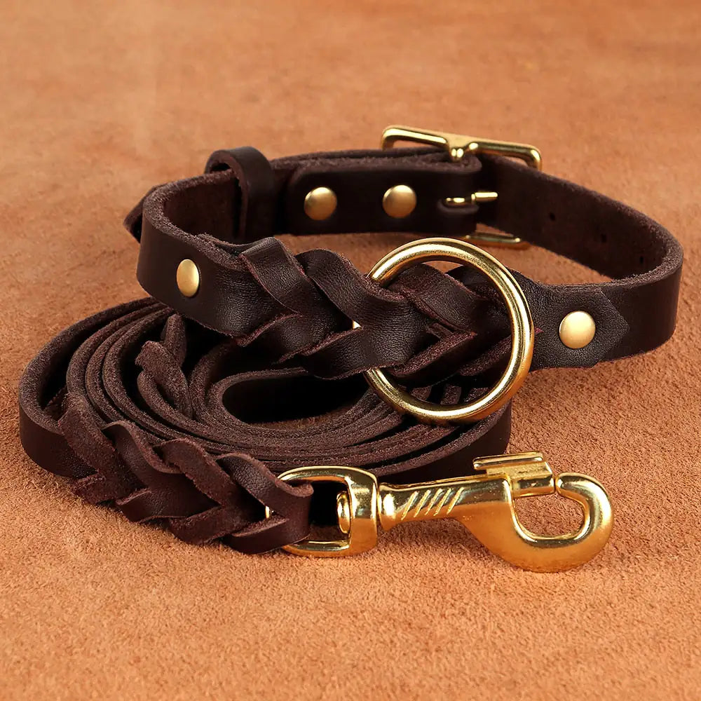 Ensemble collier et laisse pour chien