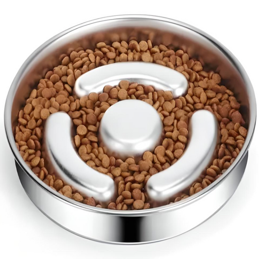 Gamelle lente en acier inoxydable pour animaux de compagnie
