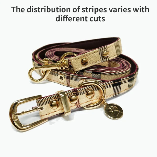 Ensemble collier et laisse en cuir pour animaux de compagnie