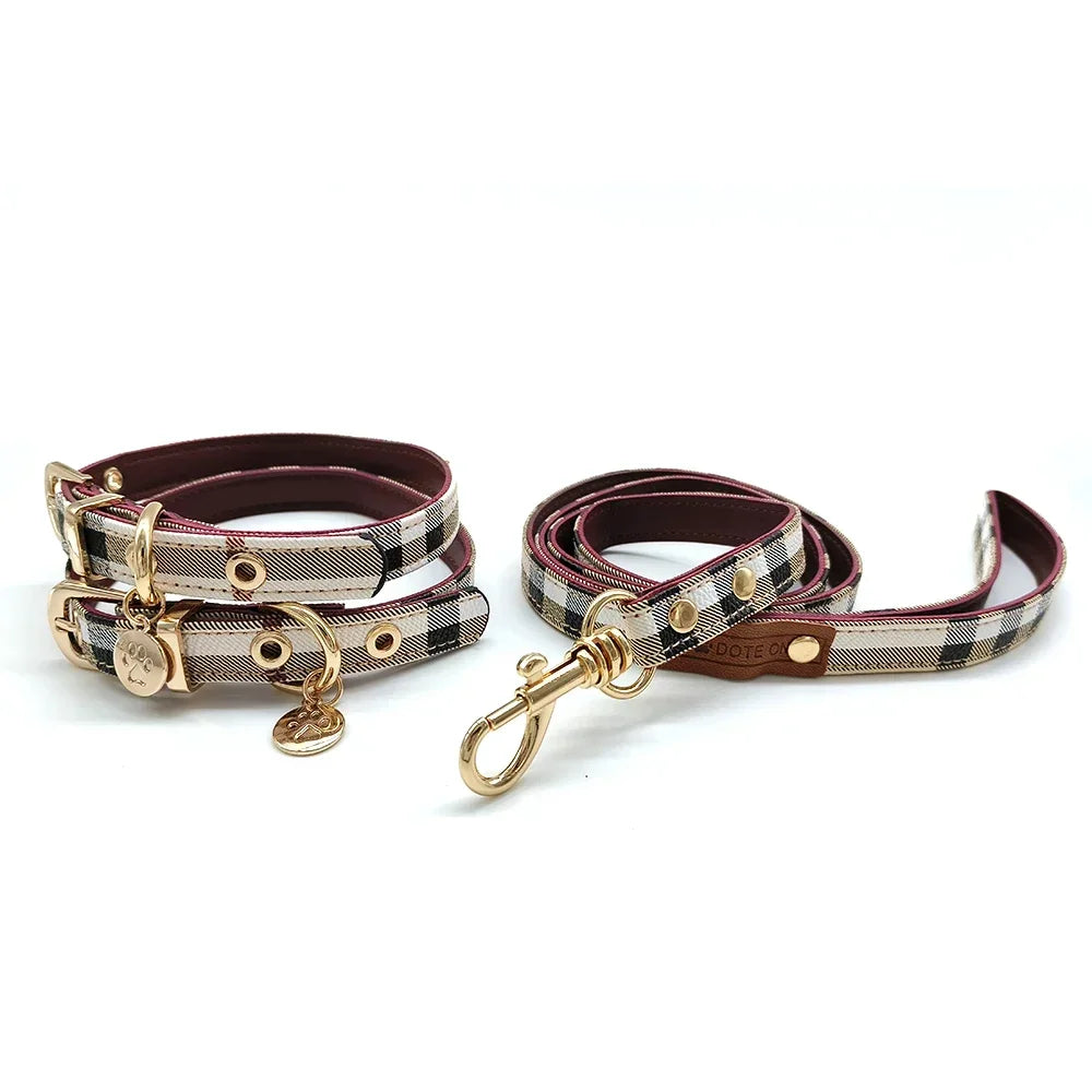 Ensemble collier et laisse en cuir pour animaux de compagnie