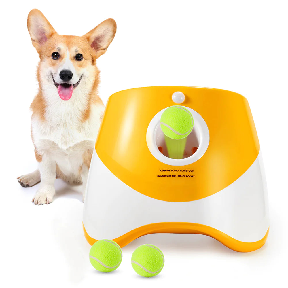 Lanceur automatique de balles pour animaux de compagnie, jouet d'extérieur, lanceur de tennis pour chiens, outil de promenade pour chiens