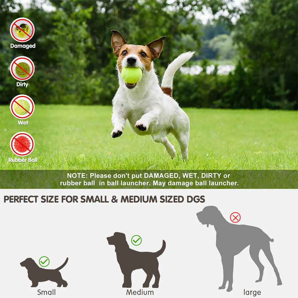 Lanceur automatique de balles pour animaux de compagnie, jouet d'extérieur, lanceur de tennis pour chiens, outil de promenade pour chiens