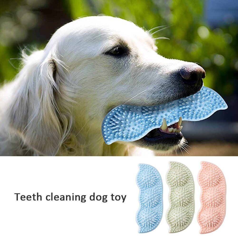 Balle jouet pour chien résistante aux morsures pour une mastication interactive