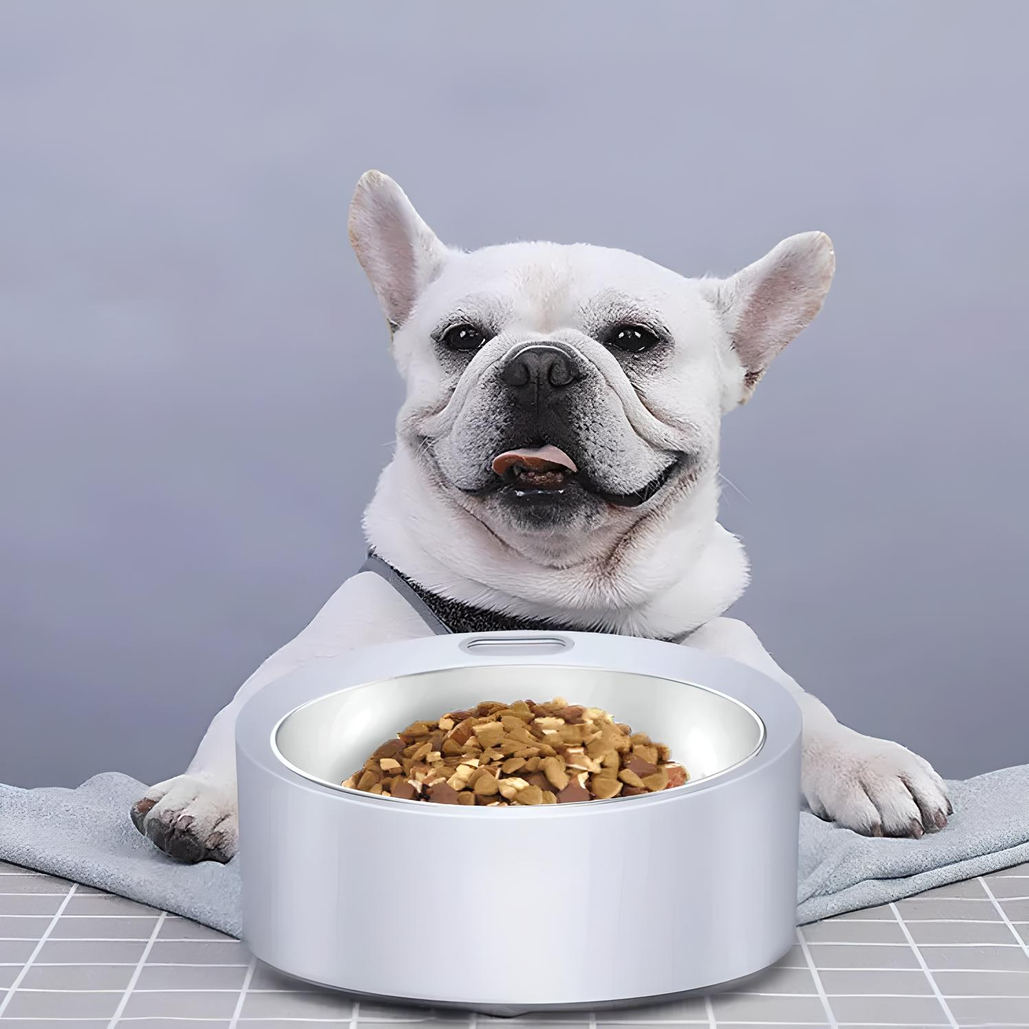 Gamelle pour chien en acier inoxydable avec balance intégrée