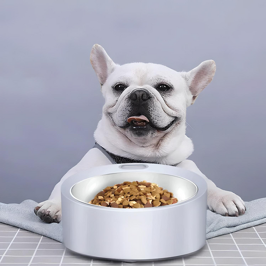 Gamelle pour chien en acier inoxydable avec balance intégrée