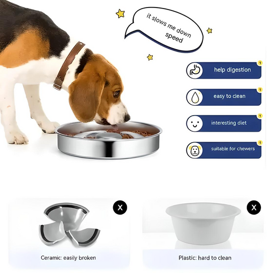 Gamelle lente en acier inoxydable pour animaux de compagnie