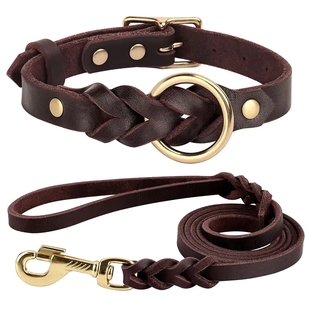 Ensemble collier et laisse pour chien