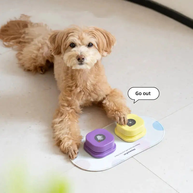 Bouton de conversation enregistrable pour buzzer d'entraînement