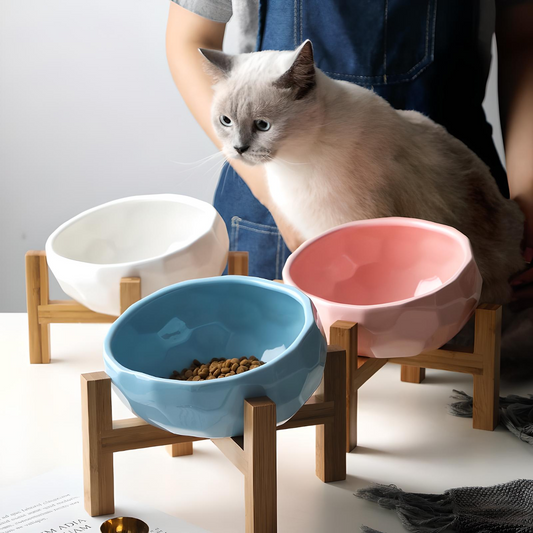 Ceramic Cat Bowl for Cats and Dogs