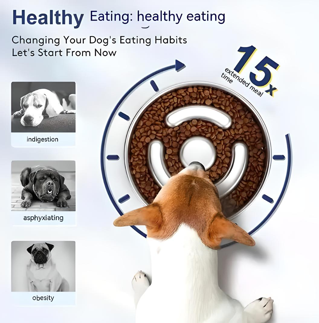 Gamelle lente en acier inoxydable pour animaux de compagnie