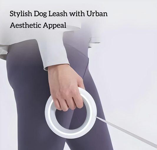 Urban Leash – Modern Design for Stylish Dogs