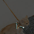 Charger l'image dans la visionneuse de la galerie, Ensemble harnais et laisse pour chat
