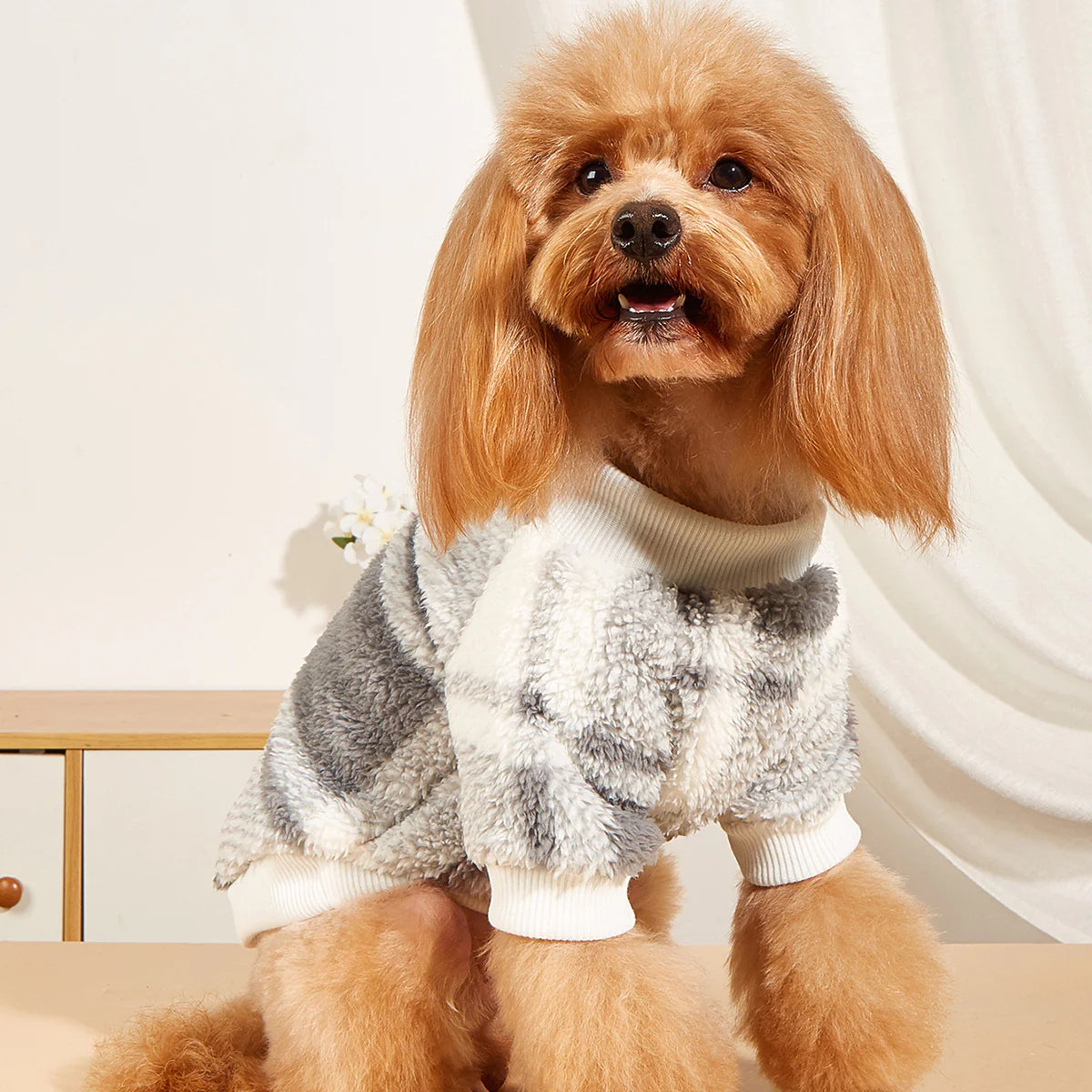 Nouvelle chemise à carreaux rembourrée en velours pour animaux de compagnie