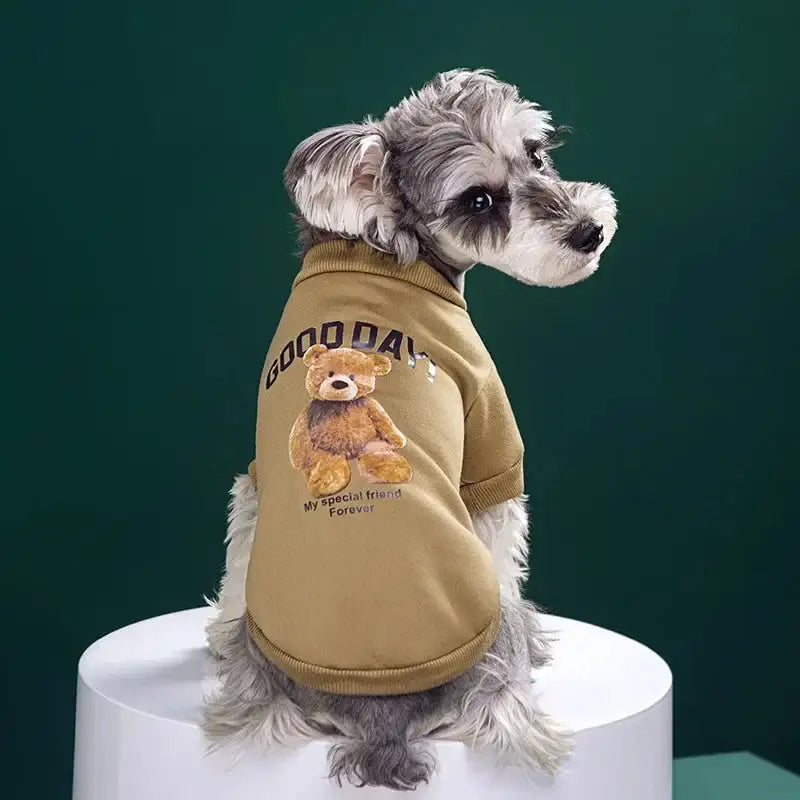 Pull Bear Embrace