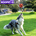 Charger l'image dans la visionneuse de la galerie, Jouet interactif à mâcher pour chien

