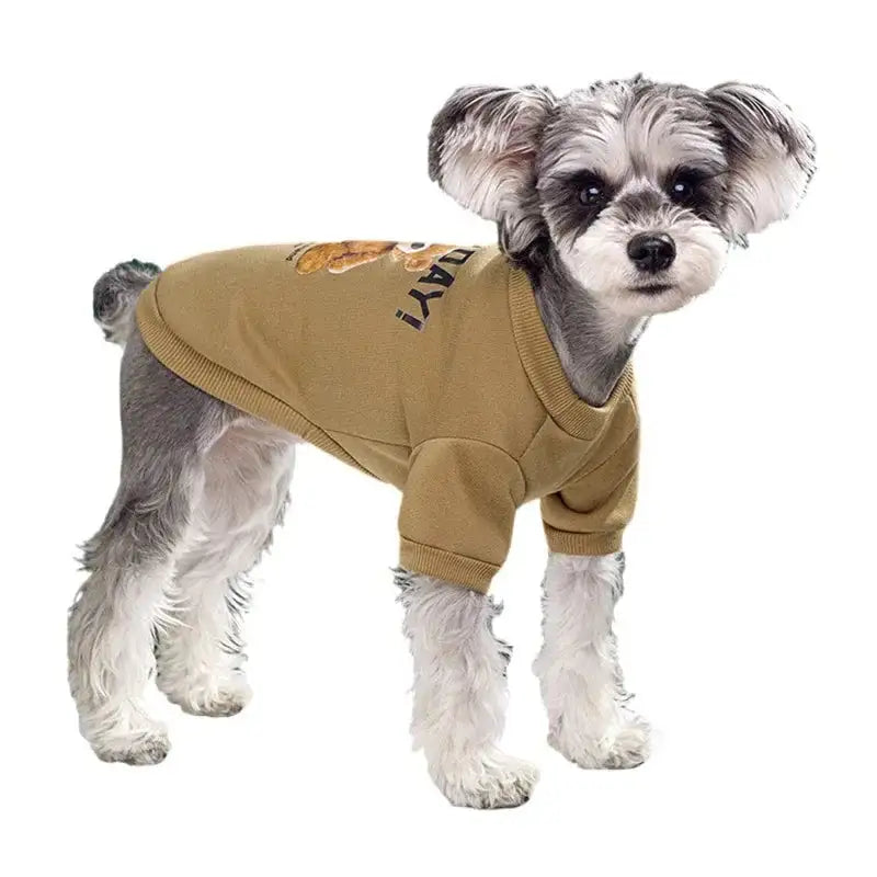Pull Bear Embrace