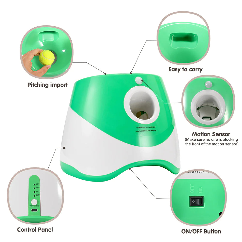 Lanceur automatique de balles pour animaux de compagnie, jouet d'extérieur, lanceur de tennis pour chiens, outil de promenade pour chiens