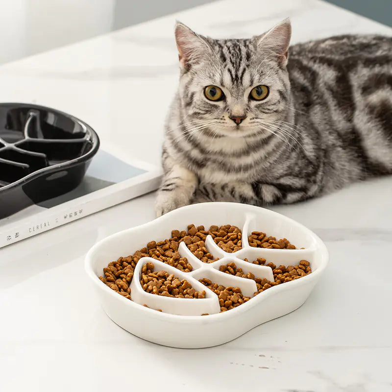 Gamelle en céramique antidérapante pour chats et chiens